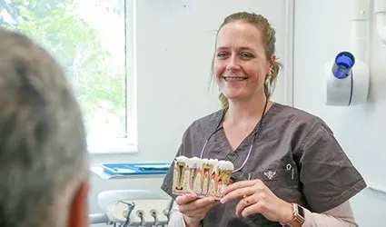 Christie, RDH with gum and teeth model